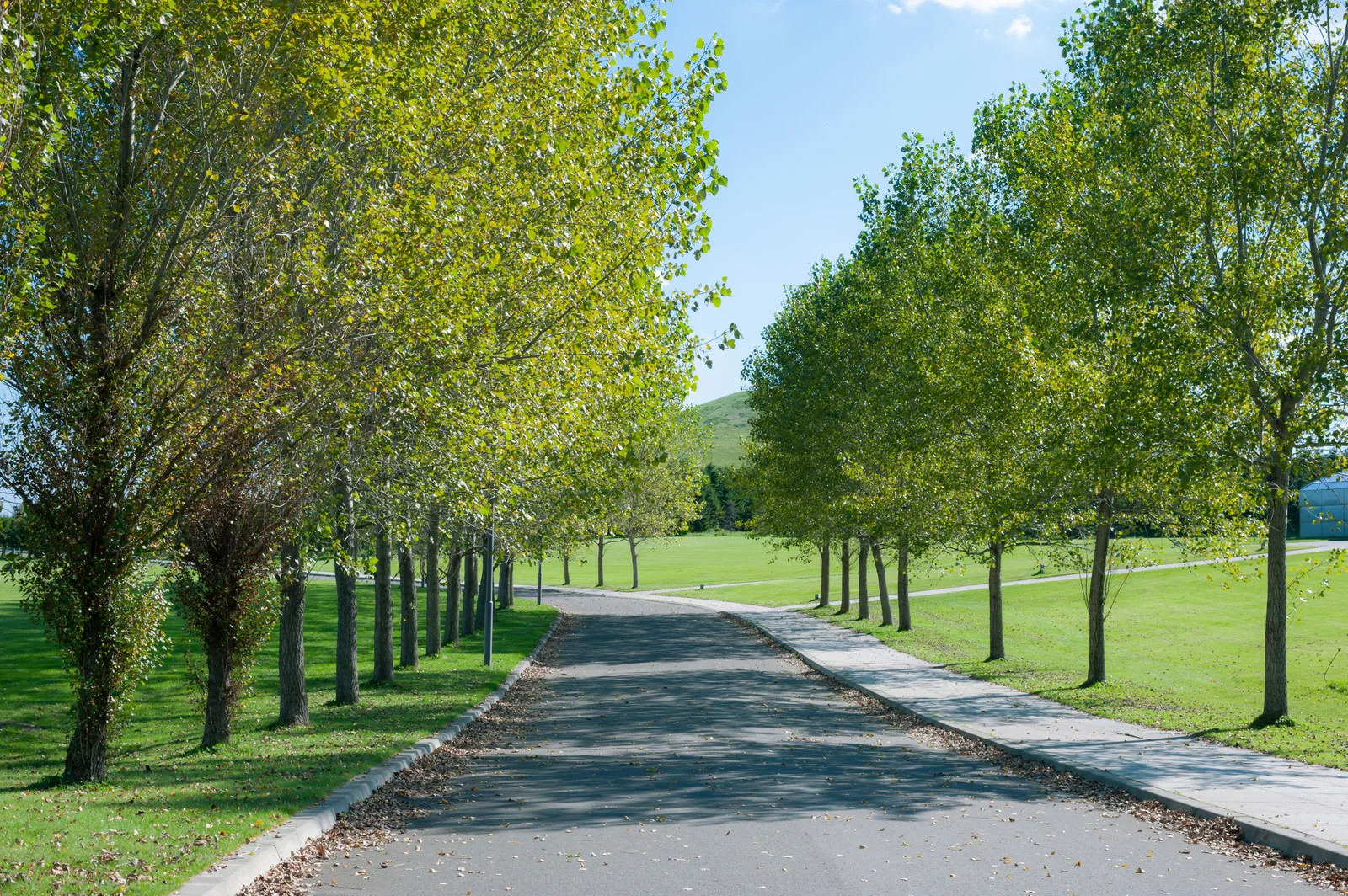 【宮崎市】【完全土日祝休み】ほぼ残業なし！道路や公園の草刈りや片付け､除草(株式会社プレイスエッジ)